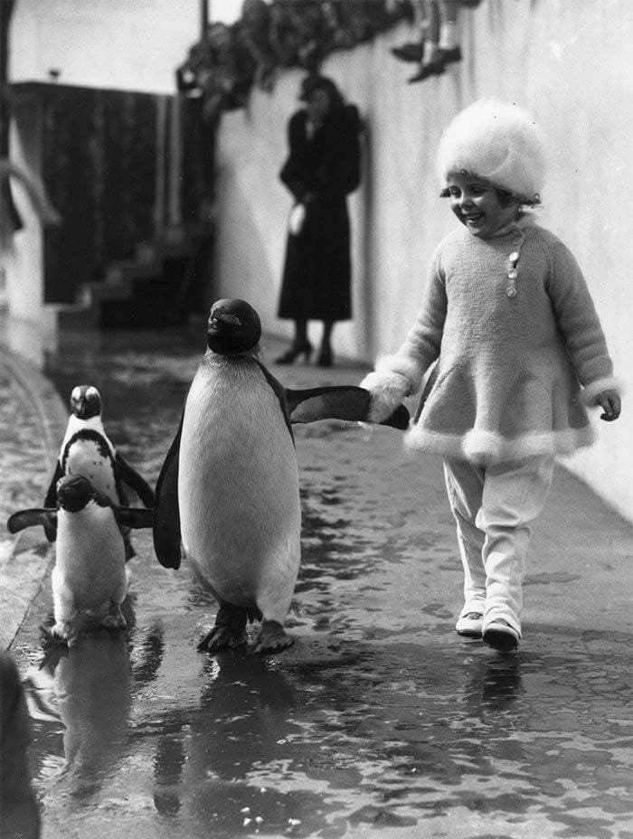 Una bambina allo zoo di Londra, 1937