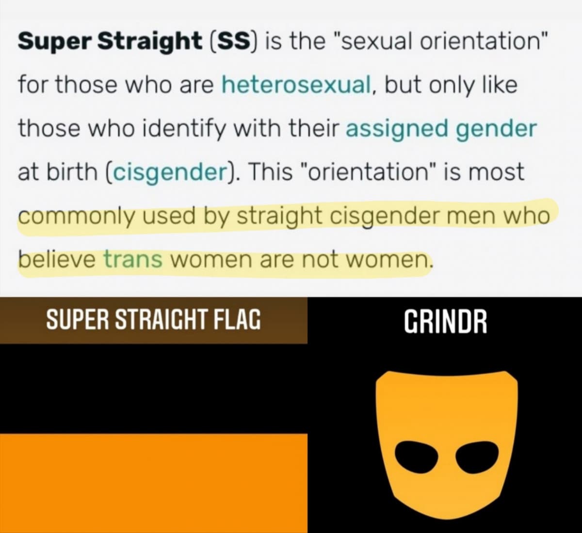 Per non parlare del fatto che i "Super Straight" sono omofobi ma i porno etero gli fanno schifo perché ci sono i cazzi quindi si guardano quelli lesbo?✋