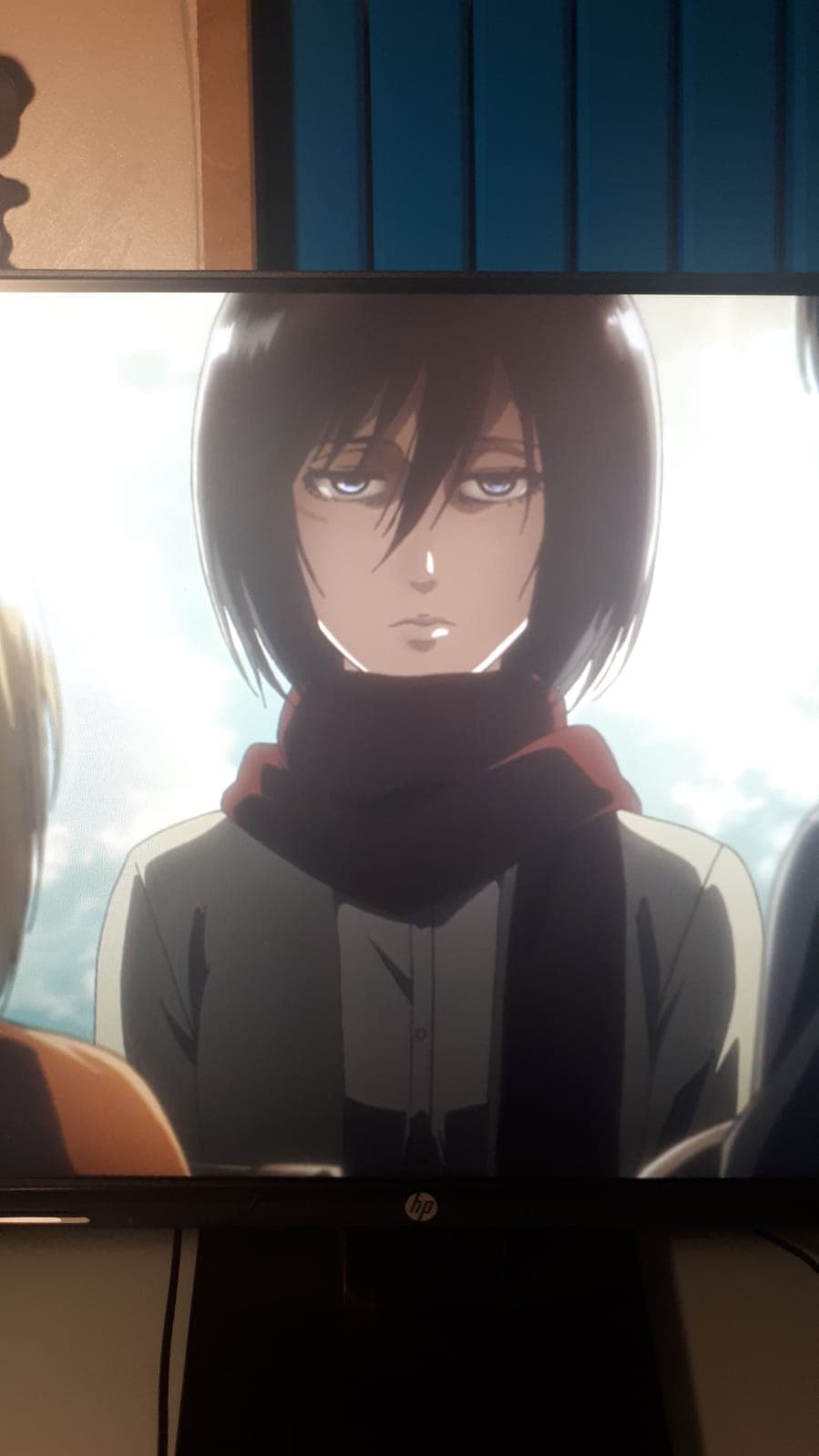 Hey Mikasa... Non sei messa molto bene?