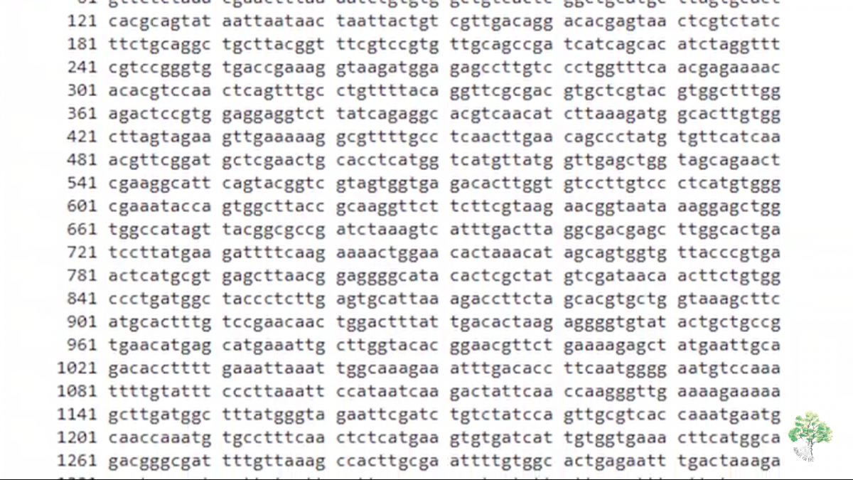 Ecco un frammento del genoma del nuovo coronavirus cinse, per chi volesse provare a sviluppare un vaccino ?