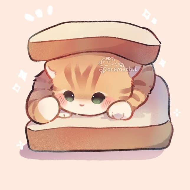 gatto in panino?