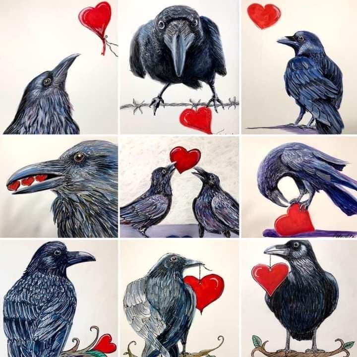 I corvi vi amano 