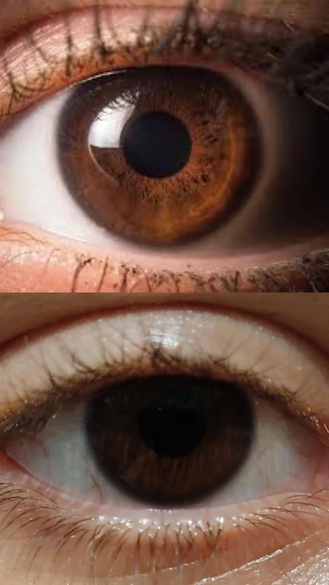 Quando dico che ho gli occhi quasi neri, non marroni, è perché la prima foto è un occhio marrone, la seconda è il mio occhio