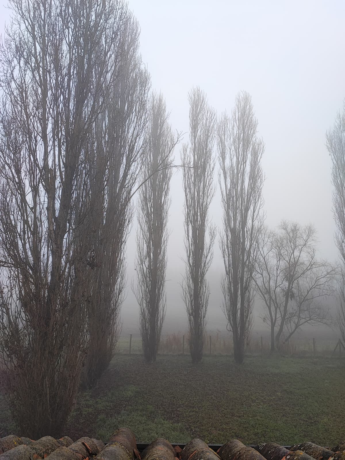 Benvenuti a Silent Hill..e si è anche un po' diradata rispetto alle 7😂