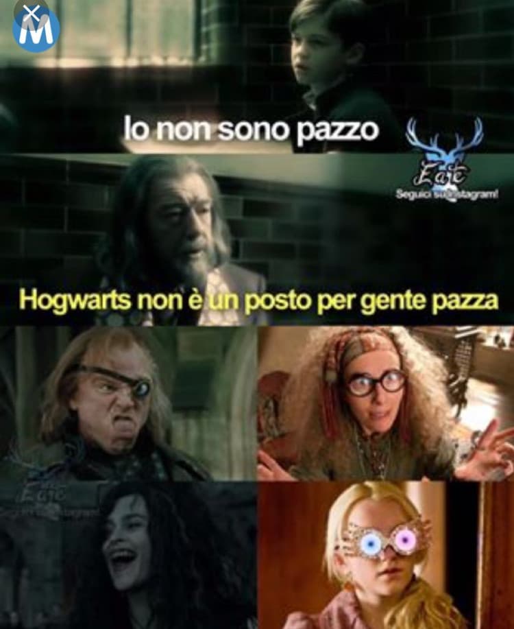Hogwarts non è un posto per gente pazza...