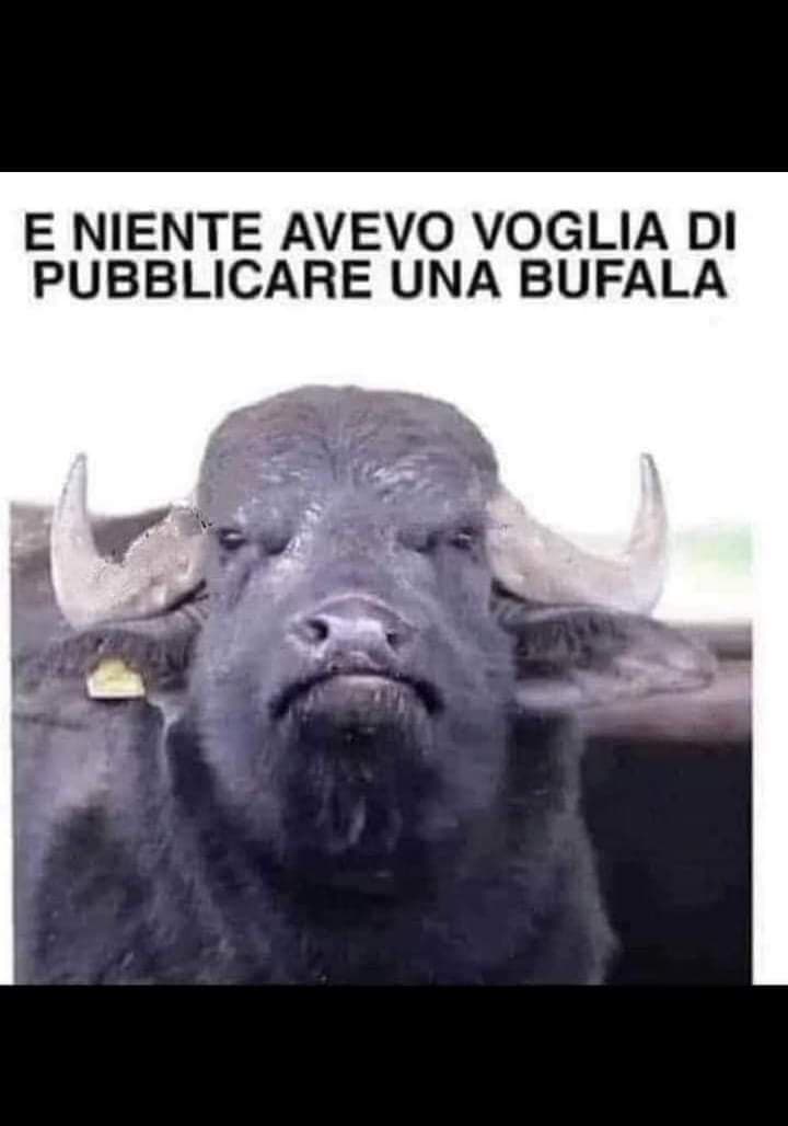 Una bufala