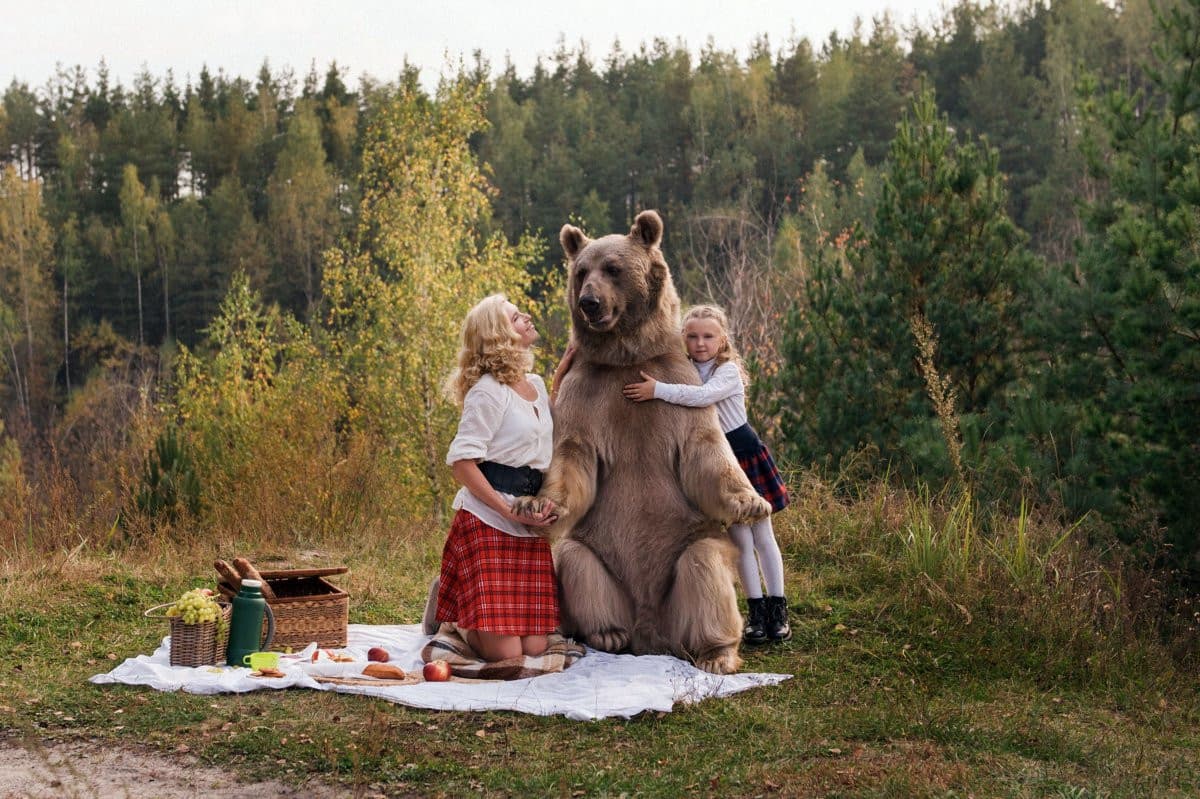 Vedete? Anche se sono un orso loro sono felici. Scegliete gli orsi